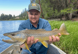 A nice Missoula Montana Brown Trout